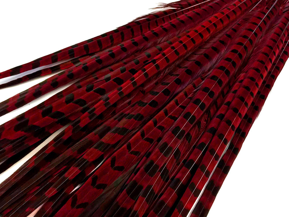 10 pieces - 18-22" Natural Red Wine Dyed Accent Feathers for Wedding Centerpieces