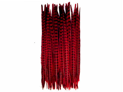 10 pieces - 18-22" Natural Red Wine Dyed Accent Feathers for Wedding Centerpieces