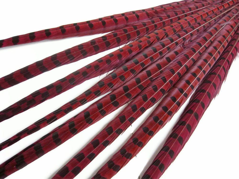 50 pieces - 18-22" Natural Red Wine Dyed Accent Feathers for Wedding Backdrops & Arches
