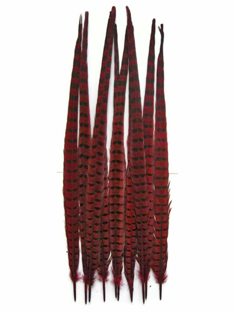 50 pieces - 18-22" Natural Red Wine Dyed Accent Feathers for Wedding Backdrops & Arches