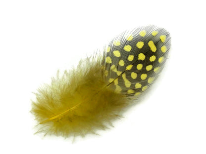 A quarter pound - Yellow Hen Plumage Polka Accent Feathers for Wedding Backdrops & Arches