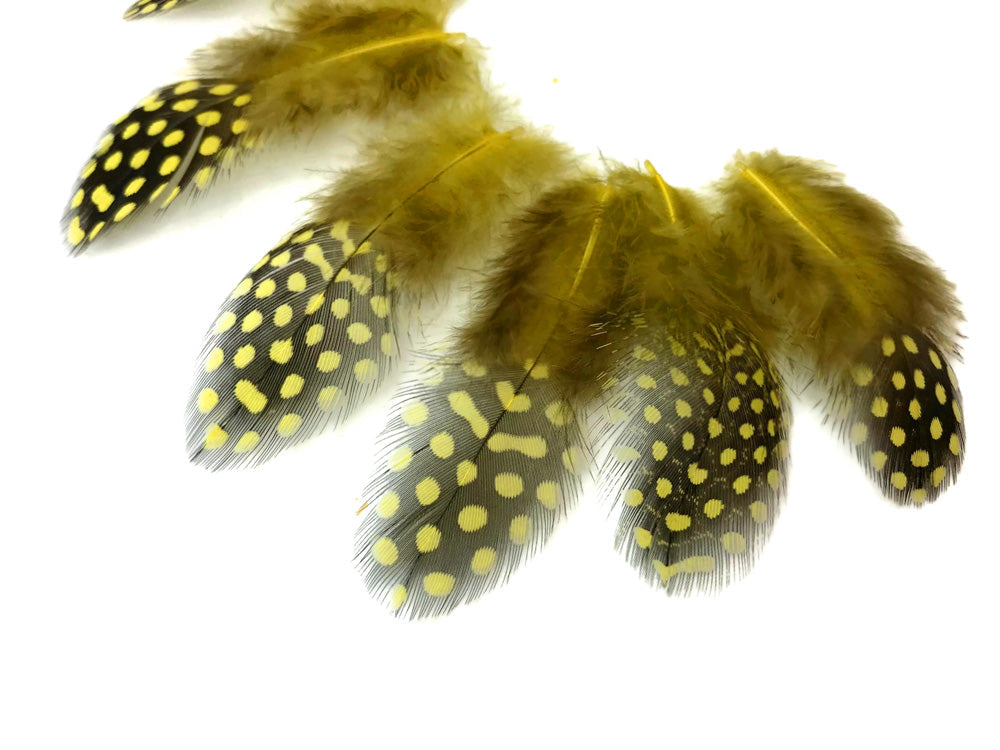 A quarter pound - Yellow Hen Plumage Polka Accent Feathers for Wedding Backdrops & Arches