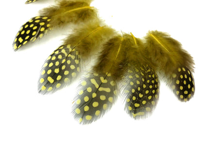 10 oz - Yellow Pack Hen Polka Accent Feathers for Wedding Centerpieces