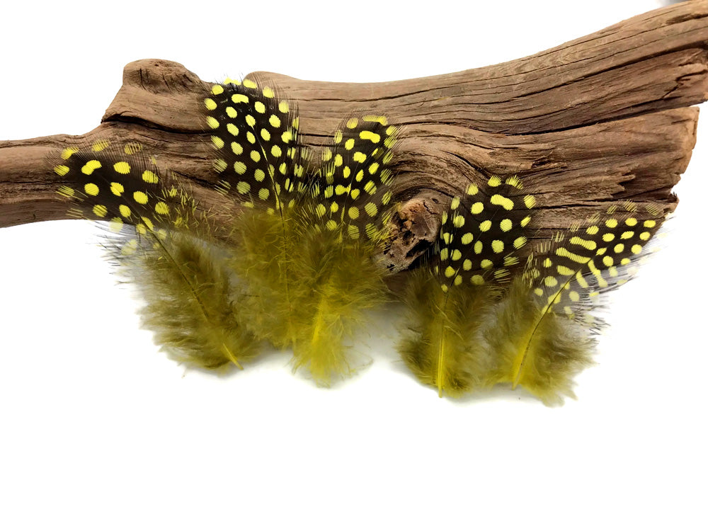 A quarter pound - Yellow Hen Plumage Polka Accent Feathers for Wedding Backdrops & Arches