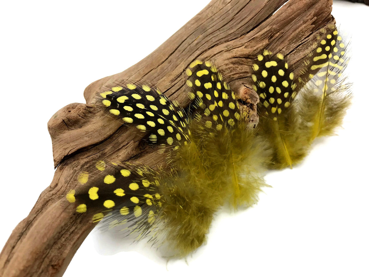 10 oz - Yellow Pack Hen Polka Accent Feathers for Wedding Centerpieces