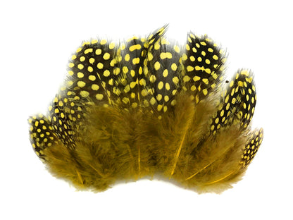10 oz - Yellow Pack Hen Polka Accent Feathers for Wedding Centerpieces