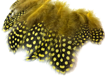 A quarter pound - Yellow Hen Plumage Polka Accent Feathers for Wedding Backdrops & Arches