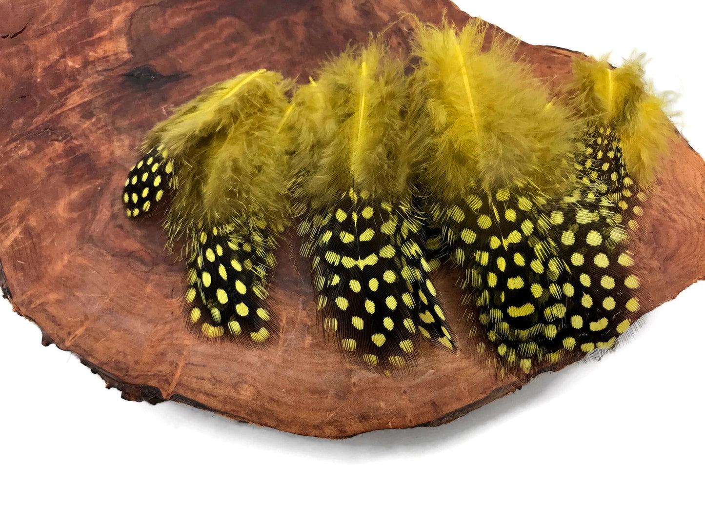 10 oz - Yellow Pack Hen Polka Accent Feathers for Wedding Centerpieces
