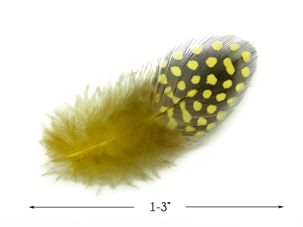 A quarter pound - Yellow Hen Plumage Polka Accent Feathers for Wedding Backdrops & Arches