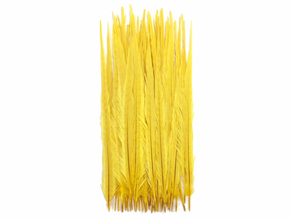 10 pieces - 18-22" Yellow Bleached Dyed Ringneck Accent Feathers for Wedding Centerpieces