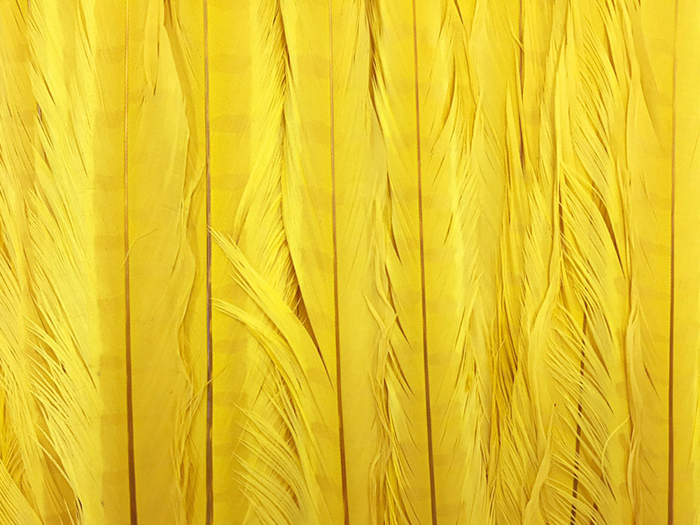 10 pieces - 18-22" Yellow Bleached Dyed Ringneck Accent Feathers for Wedding Centerpieces