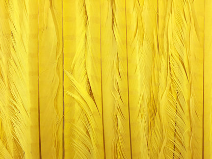 50 pieces - 18-22" Yellow Bleached Dyed Ringneck Accent Feathers for Wedding Backdrops & Arches