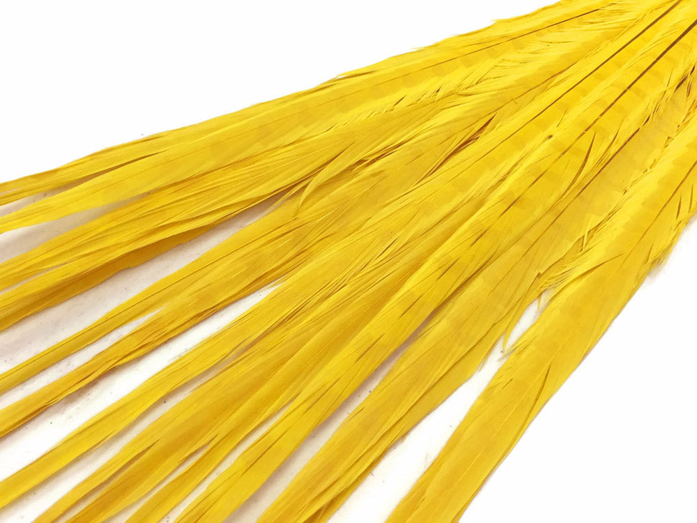 10 pieces - 18-22" Yellow Bleached Dyed Ringneck Accent Feathers for Wedding Centerpieces