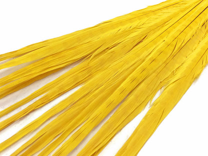 10 pieces - 18-22" Yellow Bleached Dyed Ringneck Accent Feathers for Wedding Centerpieces