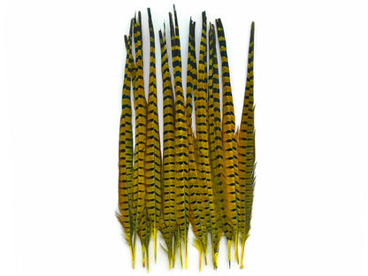 50 pieces - 18-22" Natural Yellow Dyed Over Accent Feathers for Wedding Backdrops & Arches