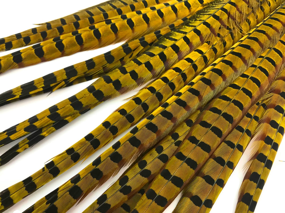 10 pieces - 18-22" Natural Yellow Dyed Over Accent Feathers for Wedding Centerpieces