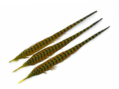 50 pieces - 18-22" Natural Yellow Dyed Over Accent Feathers for Wedding Backdrops & Arches